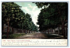 1908 Main Street Tree Cairo In The Catskills New York NY Posted Vintage Postcard 