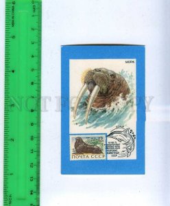 260023 USSR walrus Advertising philately CALENDAR 1991 year