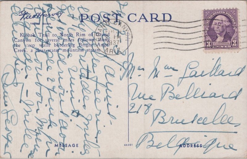 USA Grand Canyon National Park Arizona Kaibab Trail Postcard 09.64