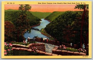 Vtg West Virginia WV New River Canyon Hawks Nest Rock State Park 1940s Postcard