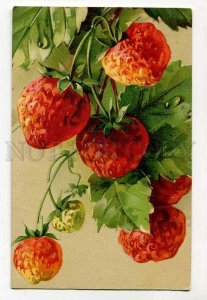 285664 C. KLEIN Sweet Strawberry Vintage GOM #1832 postcard