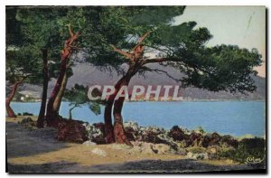 Old Postcard Menton seen from Cap Martin