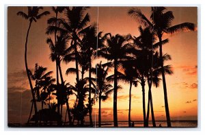 Hawaiian Cocopalms Waikiki Beach Hawaii At Sunset Postcard