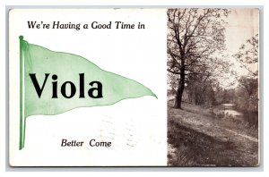 Pennant Banner Greetings From Viola Idaho ID 1912 DB Postcard P20