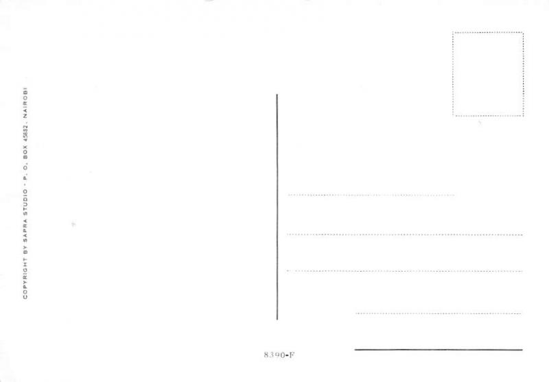 Beef & Spinach in Coconut Cream - Recipe