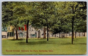 K48/ Gallipolis Ohio Postcard c1910 Second Avenue Park Stores 384