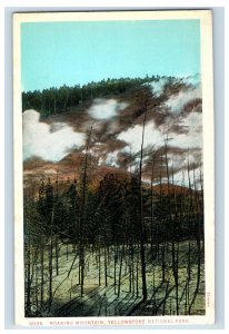 C. 1915-20 Roaring Mountain, Yellowstone National, Park. Postcard P60E