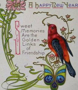 New Years Postcard Red Blue Bird Crimson Rosella Nash Vintage 40 Newark NJ 1913