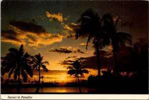 Hawaii Honolulu Sunset In Paradise