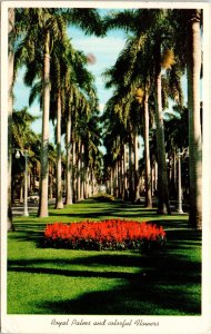 Royal Palms Flowers Florida FL Postcard PM Largo Cancel Clean WOB Note VTG 