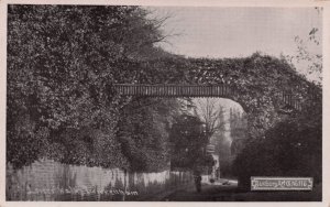 Lovers Walk Twickenham Middlesex London Antique RPC Postcard