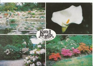 Dorset Postcard - Knoll Gardens - Wimborne - Ref ZZ4963