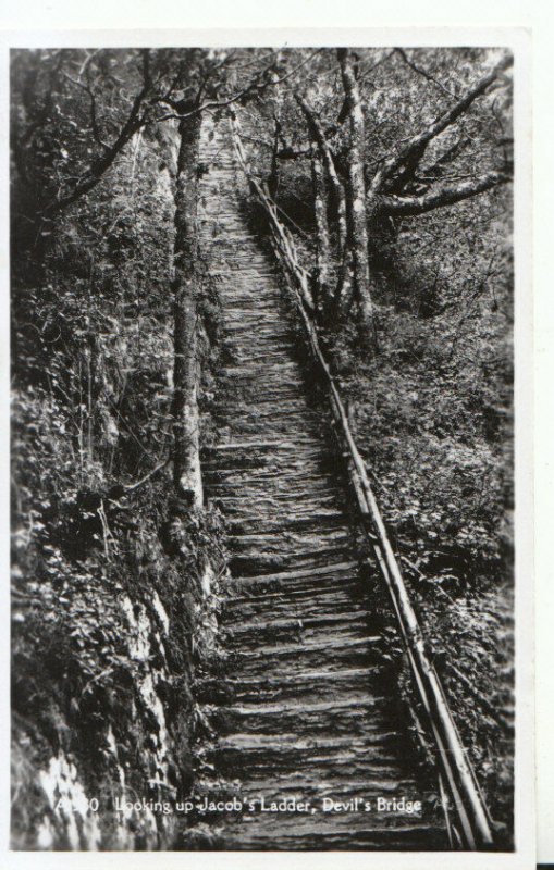 Wales Postcard - Looking up Jacob's Ladder Devil's Bridge, Real Photo Ref TZ1732