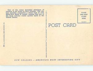 Unused Linen PARK SCENE New Orleans Louisiana LA hk6548