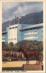 Arcadia California CA Santa Anita Park Horse Racing Vintage Postcard