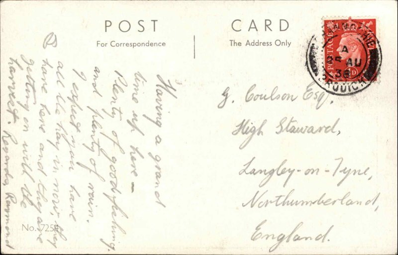 Beach Picnic Man Eats Wasp Comic Vintage Postcard