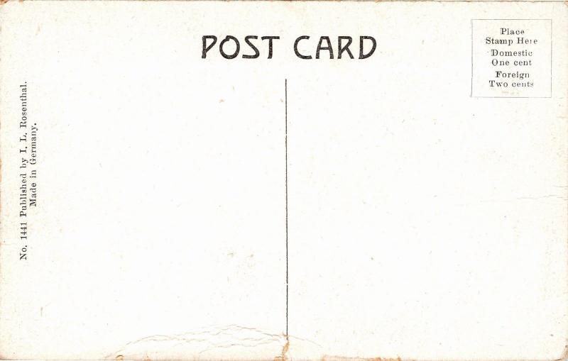 Fin-Back Whale on Beach, Provincetown MA Vintage Postcard M13