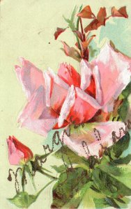 Vintage Postcard Greeting Card To Glenn Pinkham Goldfield Flower Bouquet Design