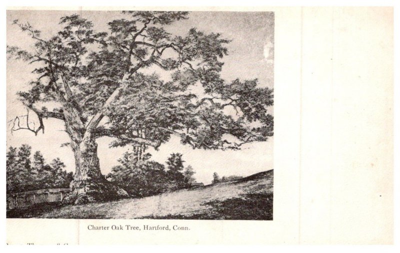 Connecticut Hartford  ,  Charter Oak Tree