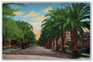 Sacramento California CA Postcard Palm Bordered Residence Street c1940's Vintage