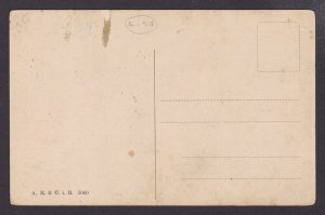 Vintage postcard, Dogs, The hearing, Unposted