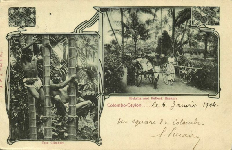 ceylon, COLOMBO, Tree Climbers, Rickshaw Bullock Hackery 1904 Multiview Postcard
