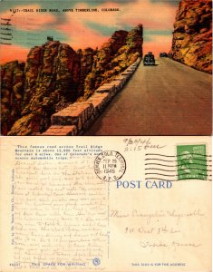 Trail Ridge Road, Timerline, Colo. (22975