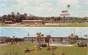 ASHBURN GEORGIA ASHBURN MOTOR INN~RESTAURANT~PONY CART RIDE~H K RIGDON POSTCARD