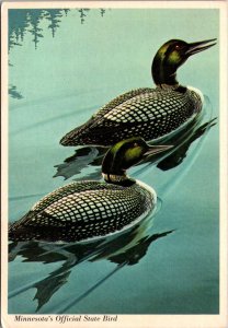 Minnesota State Bird The Loon
