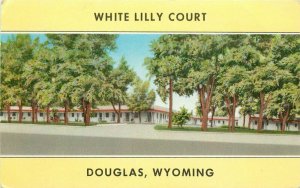 Douglas Wyoming roadside White Lilly Court Lynx Products Postcard 11852