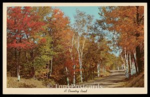 A Country Road