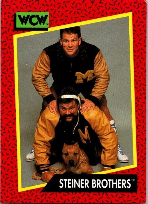 1991 WCW Wrestling Card Steiner Brothers sk21145