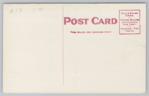 Peoria Illinois~Ivy Leaf Club House~Boats on Water~Cupid~c1910 Postcard 