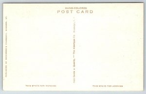 Hand Colored   Windsor   Vermont  Postcard