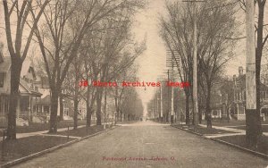 OH, Toledo, Ohio, Parkwood Avenue, 1907 PM