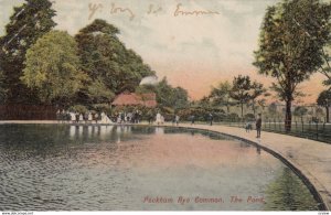 PECKMAN RYE , London Borough of Southwark, England , 00-10s ; The Pond