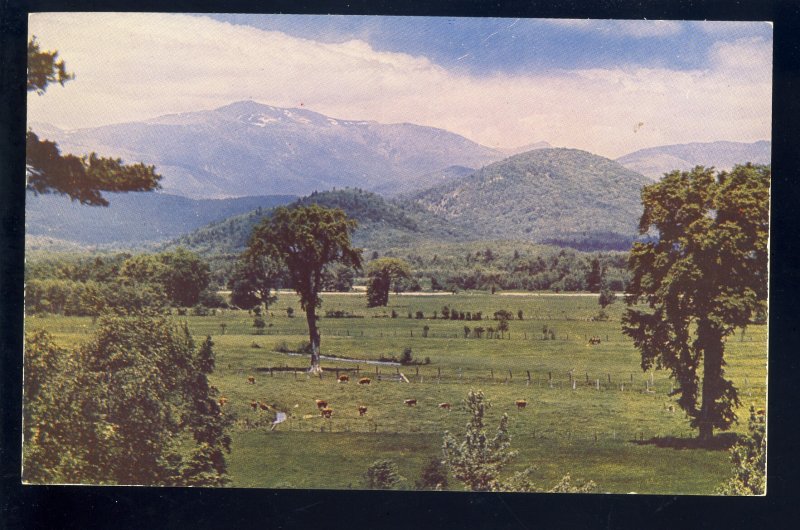 Intervale, New Hampshire/NH Postcard, View Of Mount Washington, White Mountains