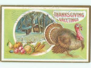 Divided-Back THANKSGIVING SCENE Great Postcard AA0467