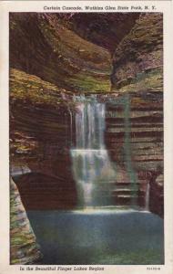 The Curtain Cascade at Watkins Glen NY, New York