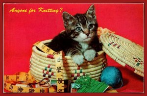 Cat - Anyone For Knitting? - [MX-1176]