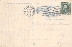 Pineapple Florida, USA Postcard