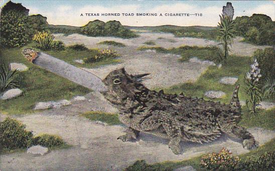 Exageration A Texas Horned Toad Smoking A Cigarette 1951