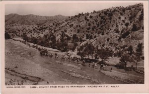 PC PAKISTAN, CAMEL CONVOY, Vintage REAL PHOTO Postcard (b43396)