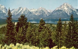 Vintage Postcard - Teton Range from Signal Mountain - Jackson Hole - Wyoming