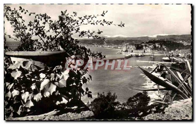 Old Postcard The Cotes D & # 39Azor L & # 39Entree The Port of Nice