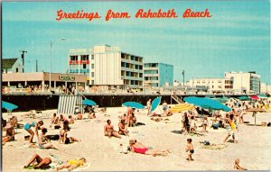 Greetings from Rehoboth Beach DE Vintage Postcard V13