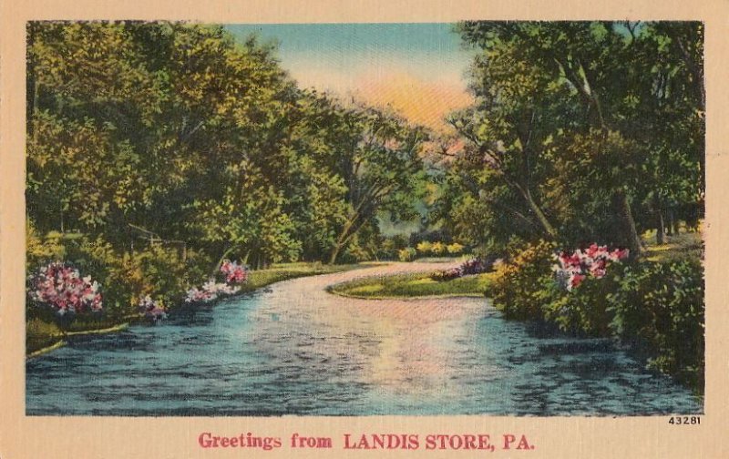 Postcard Greetings from Landis Store PA