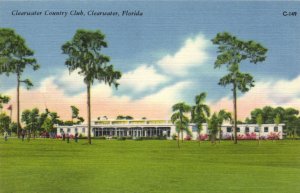 PC GOLF, FL, CLEARWATER, CLEARWATER COUNTRY CLUB, Vintage Postcard (b45827)