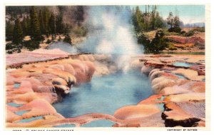Wyoming  Yellowstone National Park    Oblong Geyser
