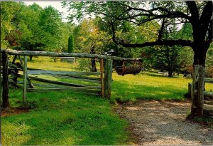 The Weighton Swing Gate, Hompback Rocks Waynesboro VA Vintage Postcard K68